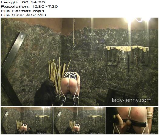 Lady Jenny  Those Balls Will Hurt preview