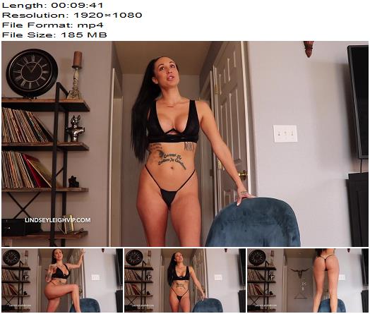 Lindsey Leigh  Homewrecked By An Egg preview