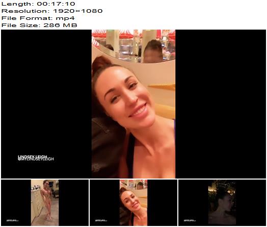 Lindsey Leigh  How I Party preview