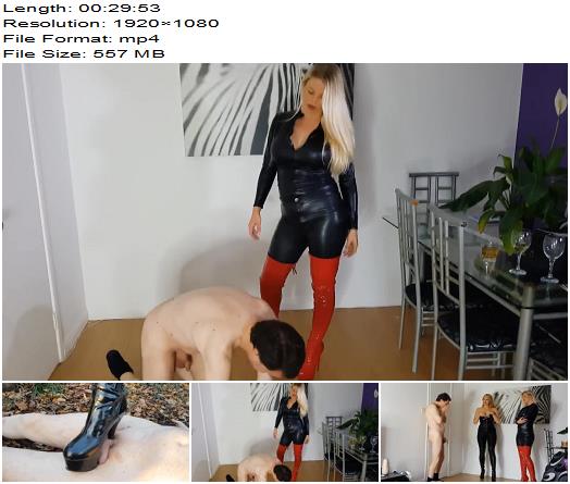 Queen Of Ballbusting  Complete Series preview