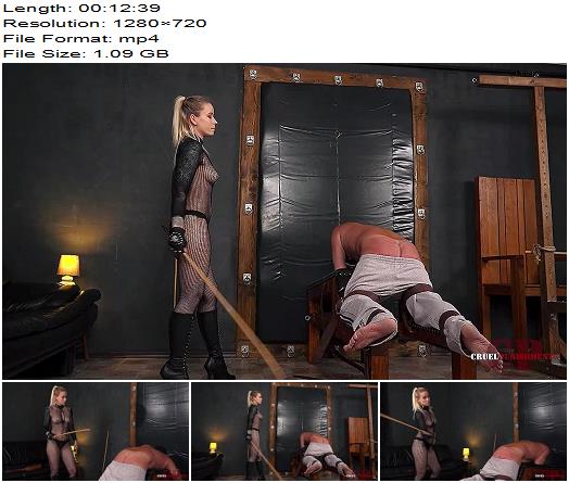 Cruel Punishments  Mistress Anette  Tawse and cane treatment preview