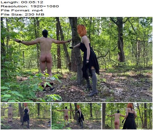 Dark Fairy  Hard Whipping In The Forest preview