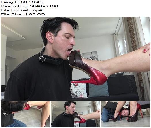 Femdom Austria  Mistress Shoe And Foot Cleaner preview