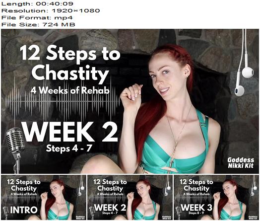 Goddess Nikki Kit  12 Steps to Chastity  4 Weeks of Rehab preview