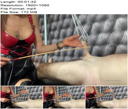 Lady Dark Angel Uk  Cock Clipped Up And Stretched Then It Felt My Cane preview