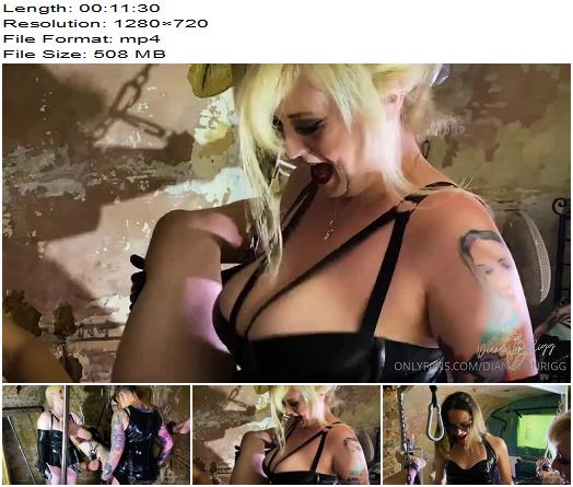 Miss Diana We Get To Work On His Hole Taking It In Turns To Give Him A Seriously Good Fucking preview