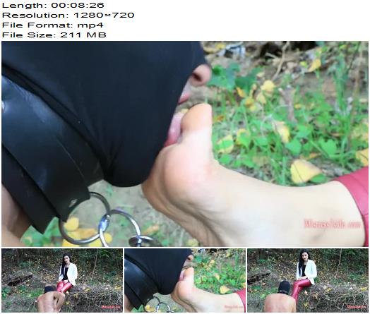 Mistress Iside  Feticism In Nature preview