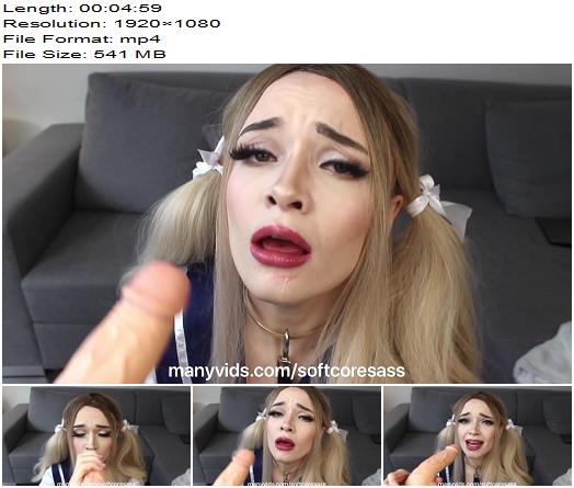 Softcoresass  Daddys Little Breeding Slut Edited preview