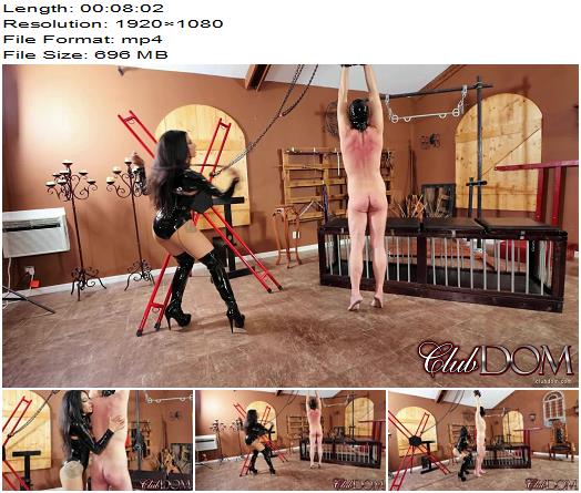 Cruel Unusual FemDom ClubDom Goddess Tangent Whipping Algo preview