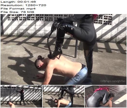 GERALD HRFAN  Mood To Enjoy The Pleasure Of Femdom And Bullwhipping preview