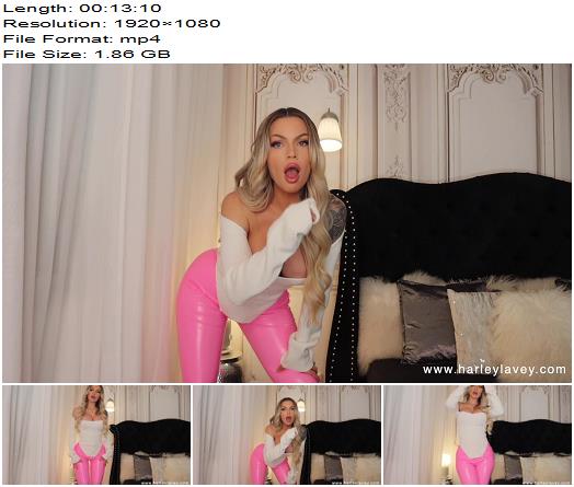 Harley LaVey Pussy Free Fag preview