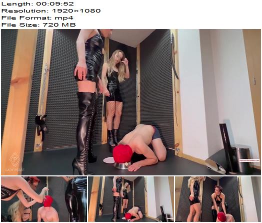 Lady Perse This slave will be cum dumpster for the ladies preview