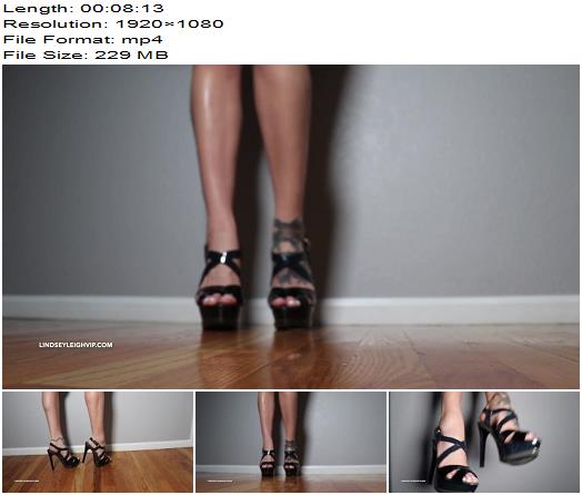 Lindsey Leigh Dior Heel Mind Wash preview