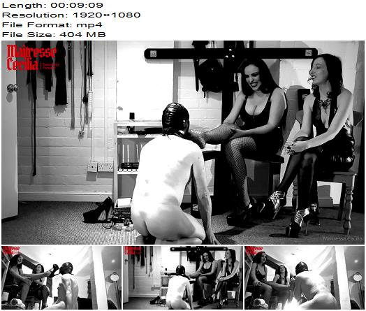 Maitresse Cecilia  Domina Von Teese  Double Domination preview