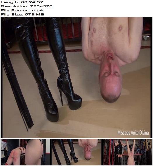 Mistress Anita Divina  Hard Caning Compilation preview