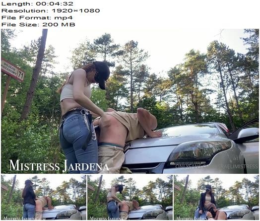 Mistress Jardena  Slut was driving me home when i told him to stop and take off trousers preview