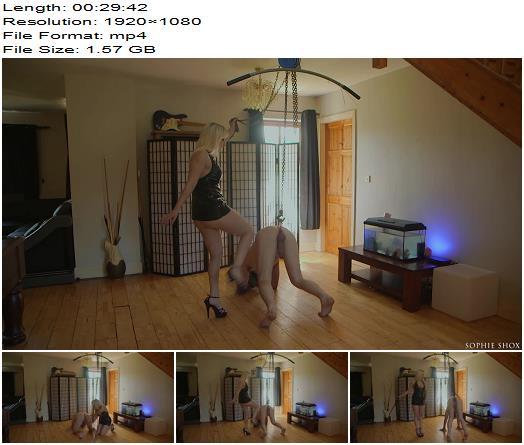 Sophie Shox  Suspended By The Fucking Balls On Hands And Knees preview