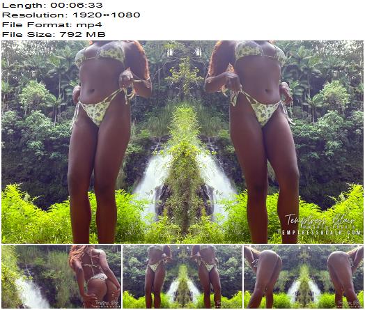 Temptress Blair PayPig Paradise preview