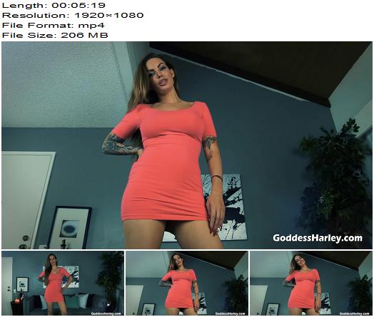 Amazon Goddess Harley  Miserable Pathetic Lonely Loser preview