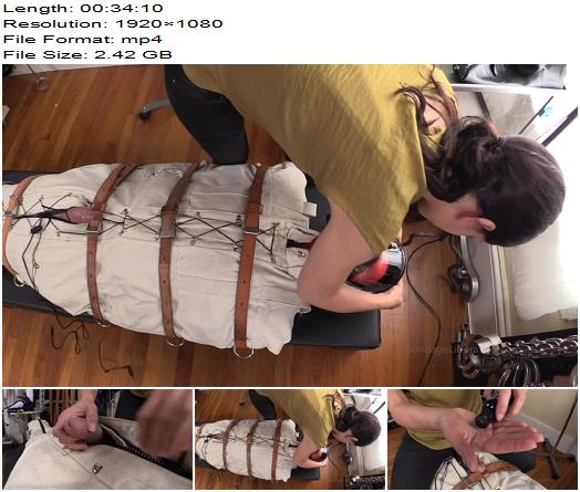 Bondage Liberation Elise Graves Someones Excited preview