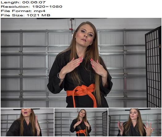 Karate Domination KITTY QUINNS STRONG KARATE HANDS preview