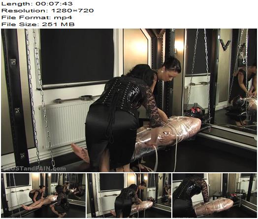 LUST AND PAIN  Miss Cosima and Eve Dynamite The Interrogation Part 5 preview