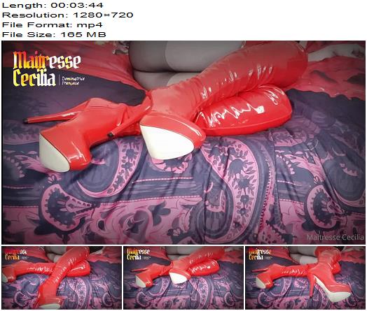 Maitresse Cecilia  You Want To Lick My Red Pvc Boots Slave DonT You preview