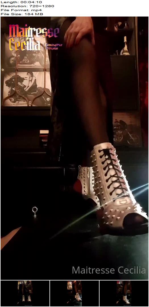 Maitresse Cecilia Your Cock Is Crushed By My Spiky Heels And It Makes So Horny preview