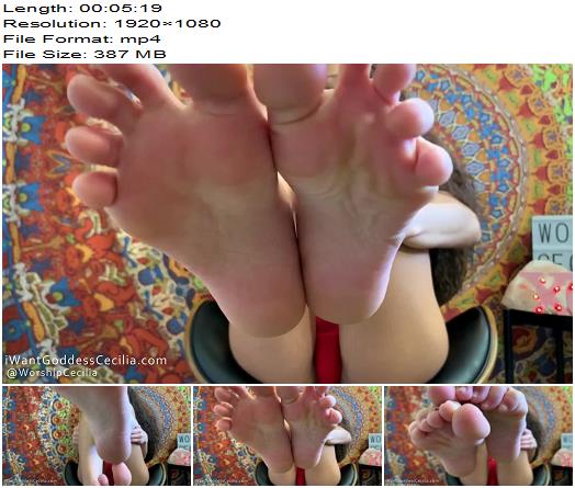 cecilialion  Goddess Foot Tease JOI preview