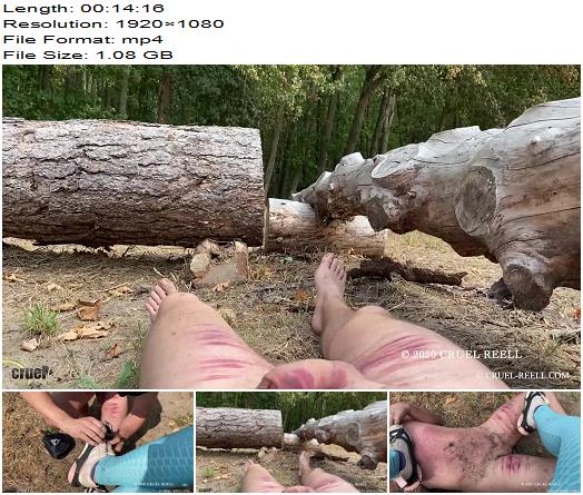 Cruel Reell Ist Denn Schon Winter 2 preview