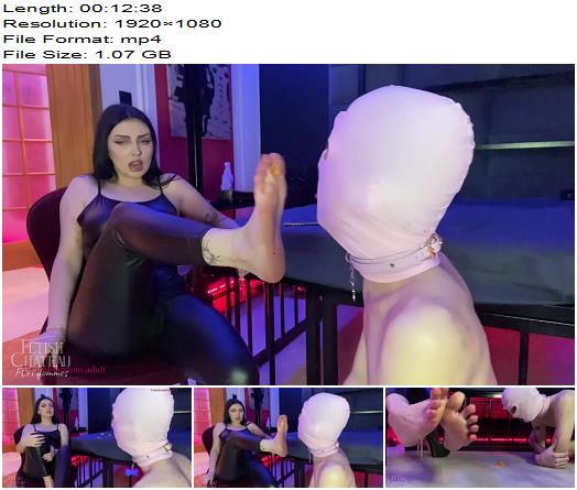 Fetish Chateau Studio  This slave will eat from Mistress Glamorous feet preview