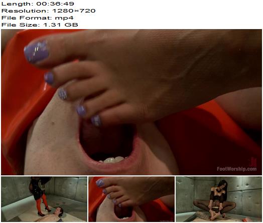 Lyla Storm  Foot Humiliation Trampling and Late preview