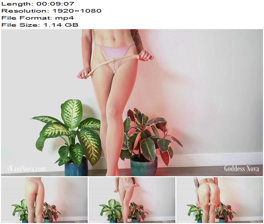 Miss Nova  Wolford Cuck Tease preview