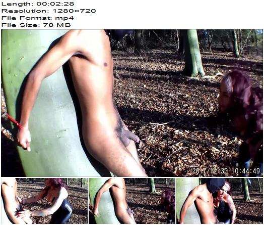 Mistress Ava Von Medisin  More Ball Crushing Of My Slave Squishy preview