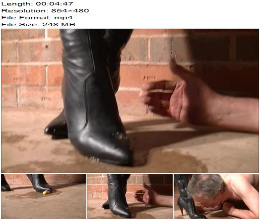 UK Mistress Elise  Chewed Up And Spat Out preview