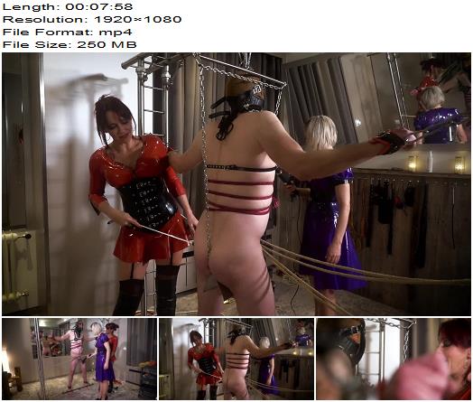 Baroness In the web of the black widows 2 preview