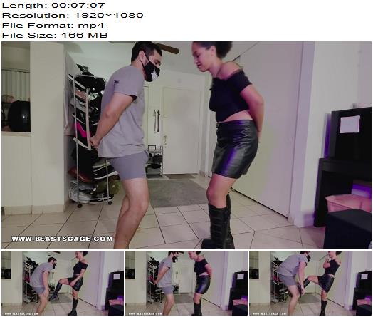 BeastsCage  Kink Bbys Ferocious First Ballbusting preview