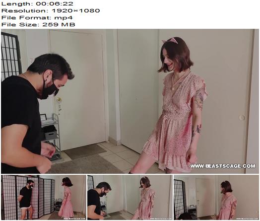BeastsCage  Kitty Girl RoseBuds First Ballbusting preview
