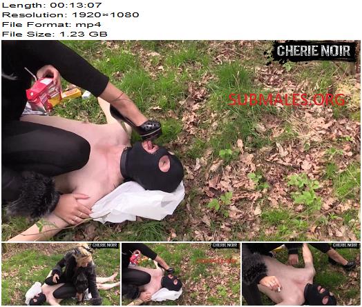 Cherie Noir The Special Picnic Divine Slavishly preview