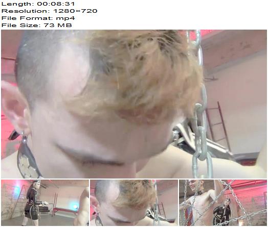 DomNation  Madam Quinn Helix  Tears For My Single Tail preview