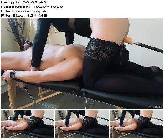 DsFlrCpl 20230216 S can only watch and not touch 281 preview