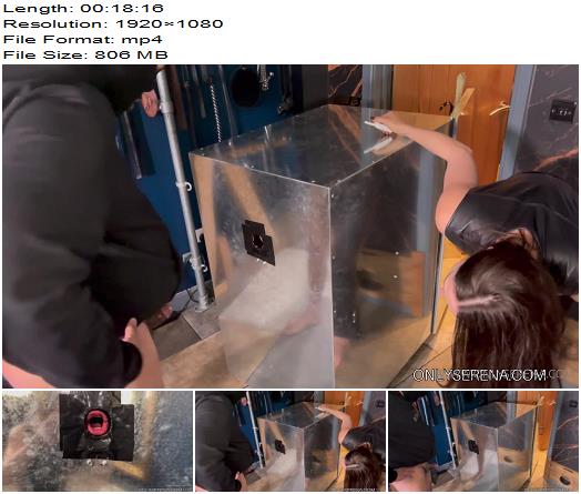 Gynarchy Goddess Goddess Serena 1st time Glory Hole for Bi Slaves preview