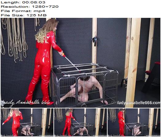 LadyAnnabelle666  Electro slave is cleaning cage preview