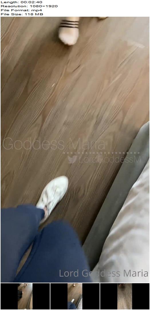 Lord Goddess Maria  I Love That Goddess Jenny Trains Her Beta Like A Dog preview