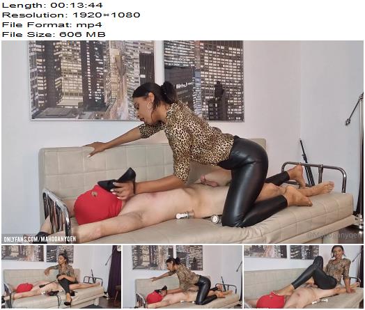 MahoganyQen  Lady Mahogany  This Time My Slave Had To Struggle A Lot To Taste My Feet preview