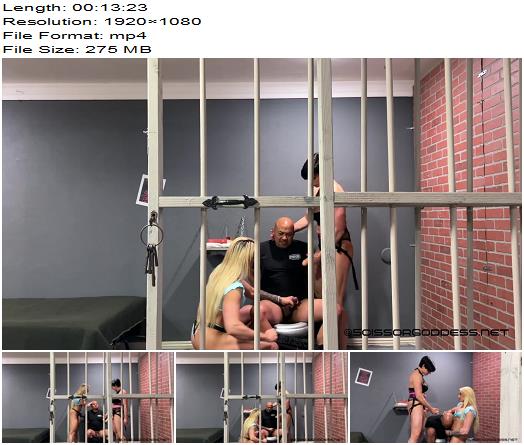 Raptures Fetish Playground  Jailhouse Domination  Muscle Barbie and Goddess Rapture preview