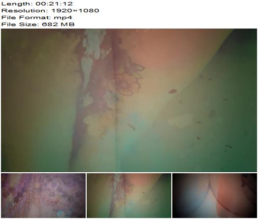 River Nixie The Initiation part 1 preview