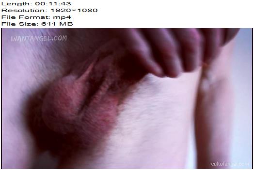 Angel Au Lait Cock Comparison preview