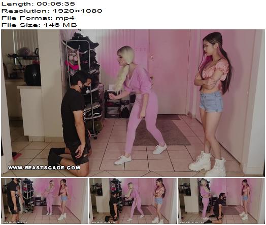 BeastsCage  Hot Findom Brats Destroy Innocent Balls preview