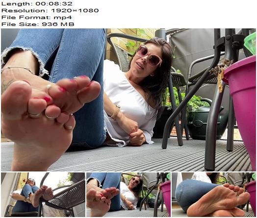 Feetwonders I Distracted The Gardener preview